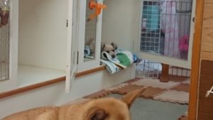 一度だけ 2018/10/12