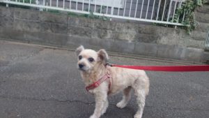 夜のお時間 2018/10/12