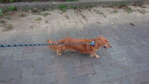 寝る前に 2018/10/13