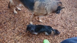 ランで 2018/10/14