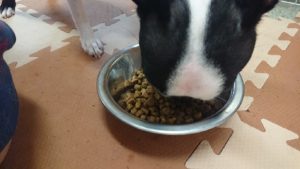 お昼の時間 2018/10/15