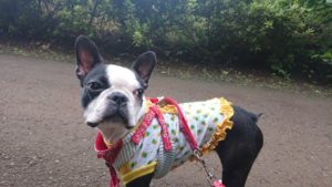 朝のお時間 2018/10/16