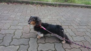 夜のお時間 2018/10/16