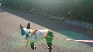 体のために！ 2018/10/18