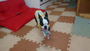 パワフル 2018/10/18