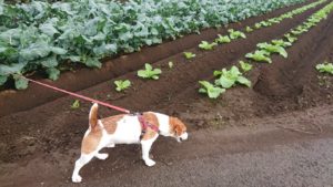 朝のお時間 2018/10/19