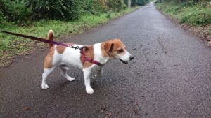 緊張ＭＡＸ 2018/10/20