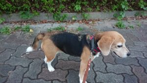 夜のお時間 2018/10/20