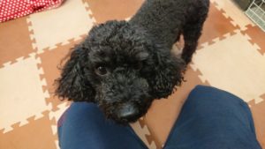 あっちやこっちや 2018/10/21