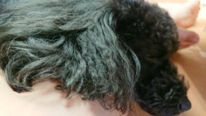 お昼寝してる間に 2018/10/22