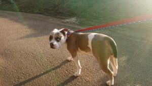 まったり静かに 2018/10/22