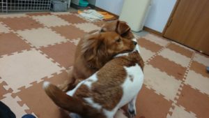 昼のお時間 2018/10/23