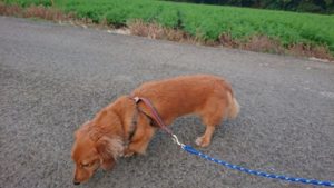 静かになりました 2018/10/23