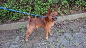 準備万端 2018/10/24