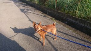 優しくね 2018/10/25