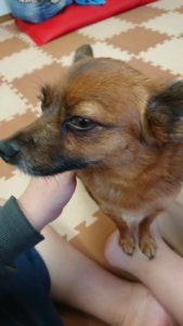 おやつもね！ 2018/10/26