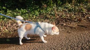 夜のお時間 2018/10/27