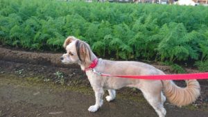 静かな夜 2018/10/29