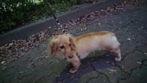 夜のお時間 2018/10/31