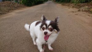 夜の時間 2018/10/3