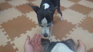 お昼です！ 2018/10/5