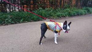 夜のお時間 2018/10/15