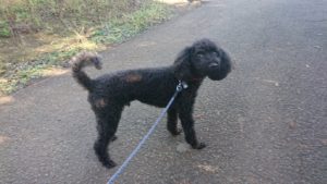 朝のお時間 2018/10/22