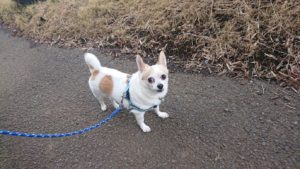 朝のお時間 2018/10/28