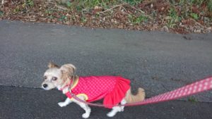 今日のスタート 2018/10/29