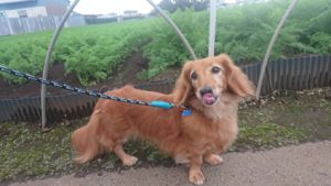 夜のお時間 2018/10/14