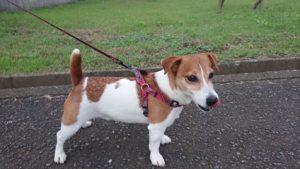 仲良くね 2018/10/19