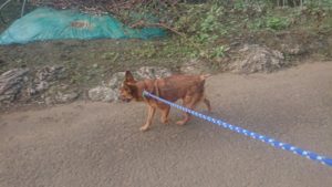 問題なさそうね 2018/10/26