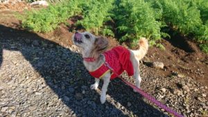 朝のお時間 2018/10/30