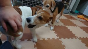 動くなってか(笑) 2018/10/19