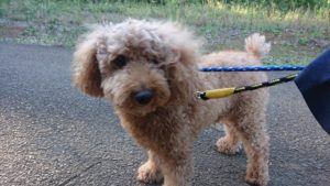 静かに遊んでます 2018/10/21