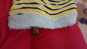 いい感じ 2018/10/24