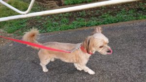 夜のお時間 2018/10/30