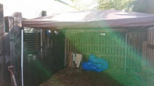 お昼のお時間 2018/10/28