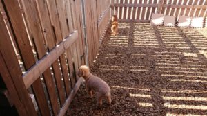 お昼はね 2018/11/1