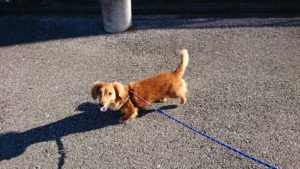 朝のお時間 2018/11/2