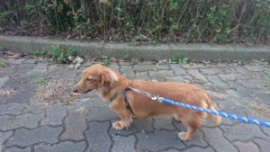 夜の時間 2018/11/2