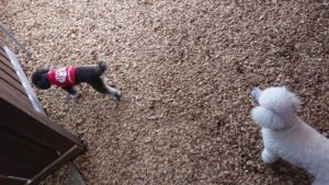 ちょっと緊張？ 2018/11/3