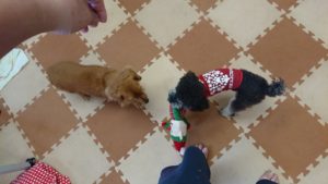 もう少し！ 2018/11/5