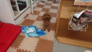 お昼のお時間 2018/11/6