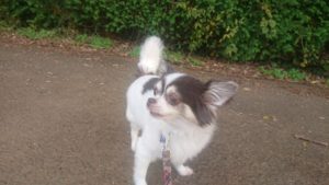 夜のお時間 2018/11/7