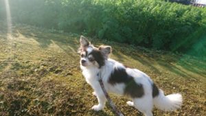 元気にスタート 2018/11/8