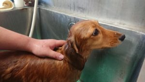 お昼の時間 2018/11/8