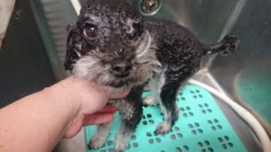 お昼のお時間 2018/11/9