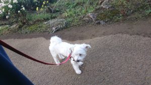 朝から元気に 2018/11/11