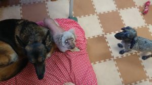 お昼時 2018/11/11